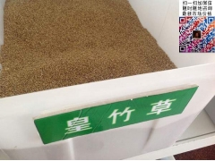 買皇竹草多少錢一斤合算？