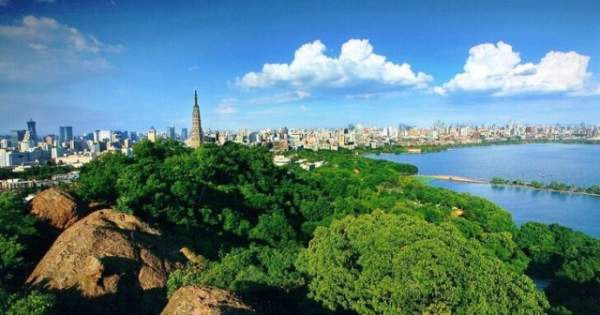 學(xué)習(xí)國外苗木行業(yè)經(jīng)驗(yàn)，搶先了解國內(nèi)市場動態(tài)