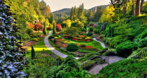 學(xué)習(xí)國外苗木行業(yè)經(jīng)驗(yàn)，搶先了解國內(nèi)市場動態(tài)