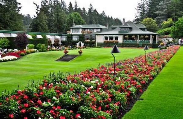 學(xué)習(xí)國外苗木行業(yè)經(jīng)驗(yàn)，搶先了解國內(nèi)市場動態(tài)