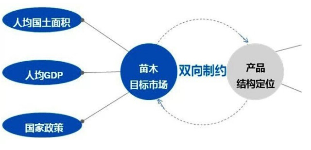 學(xué)習(xí)國外苗木行業(yè)經(jīng)驗(yàn)，搶先了解國內(nèi)市場動態(tài)