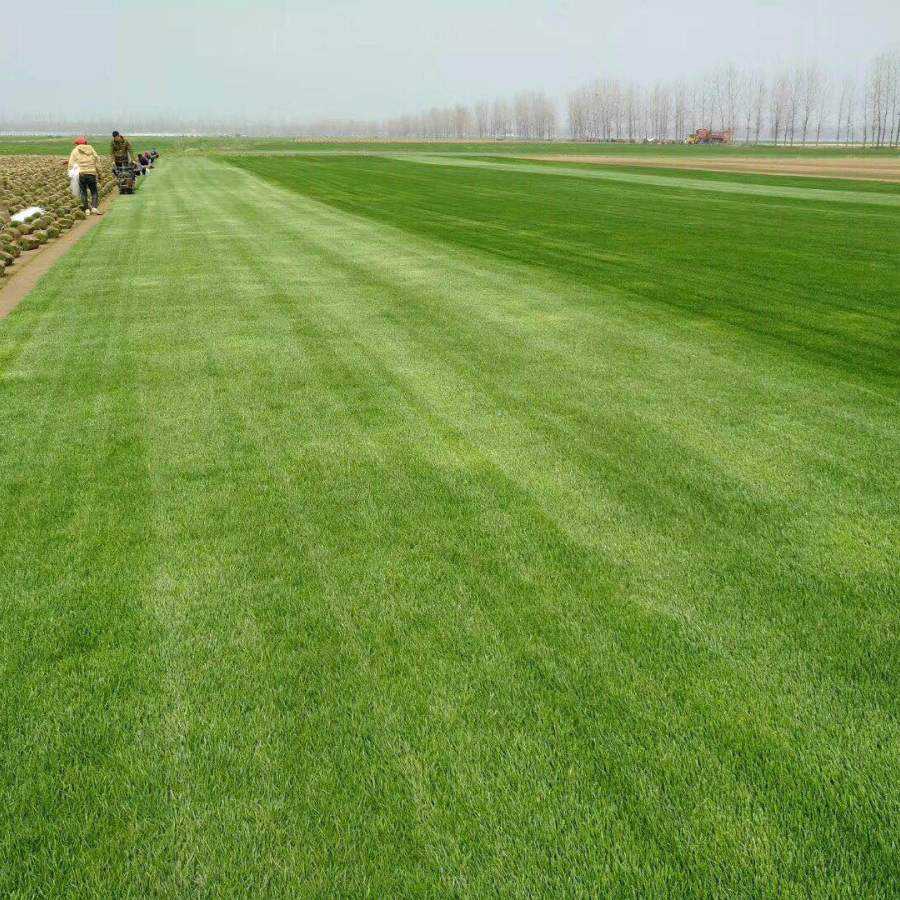 1647535956244653.jpg 1647535956244653.jpg