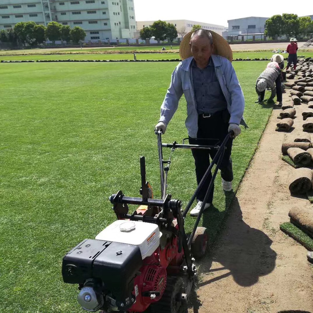 1647573072978404.jpg 1647573072978404.jpg