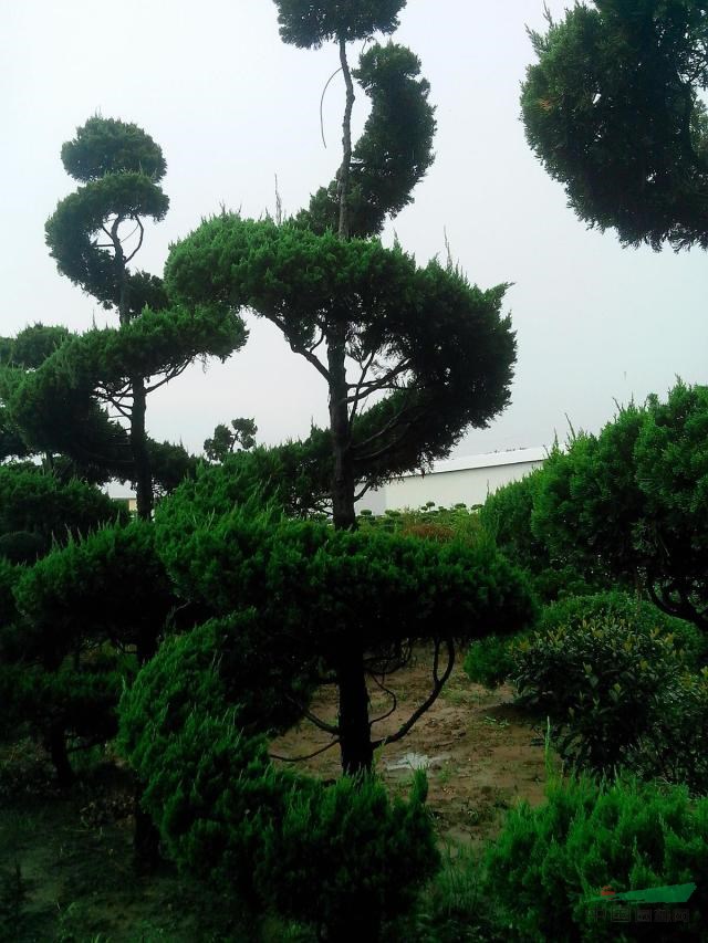 1648602798408874.jpg 1648602798408874.jpg