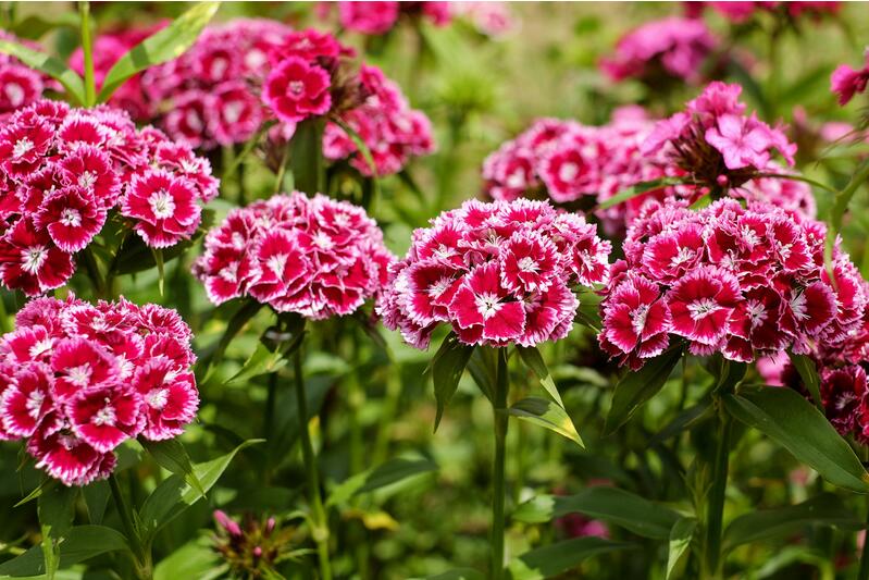 1648785363357896.jpg 1648785363357896.jpg