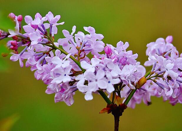 1649038613181549.jpg 1649038613181549.jpg