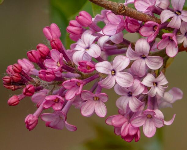 1649038613684708.jpg 1649038613684708.jpg