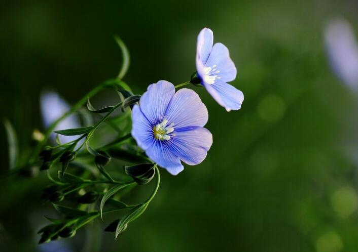 1649041353855522.jpg 1649041353855522.jpg