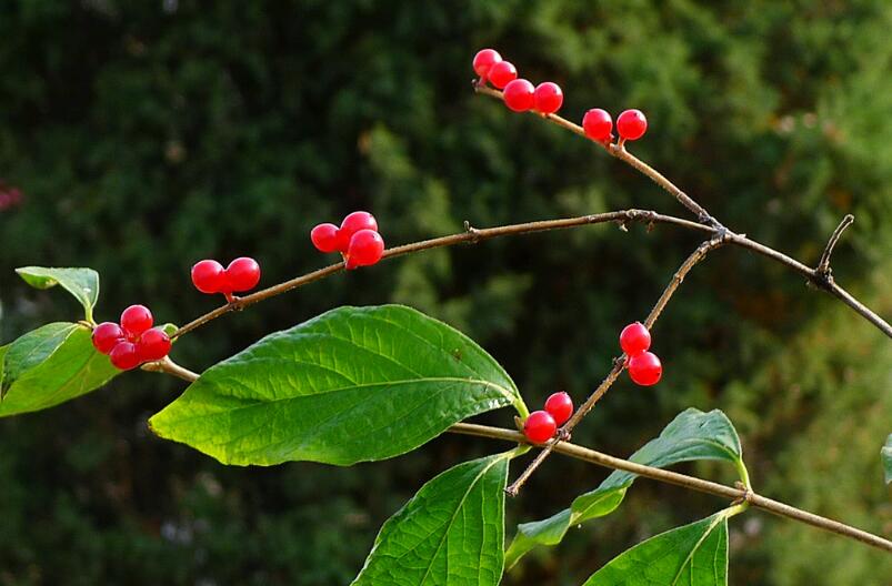 1649042331115669.jpg 1649042331115669.jpg