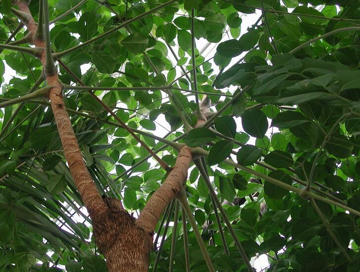 1649042694166897.jpg 1649042694166897.jpg