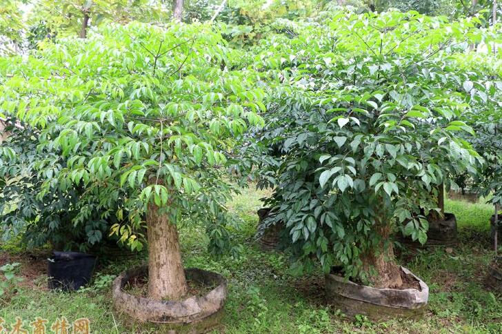 1649042694915194.jpg 1649042694915194.jpg