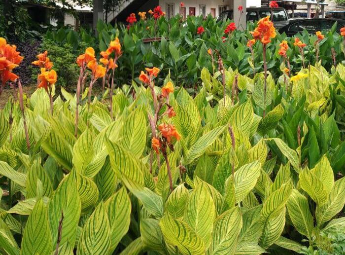 1649043346988500.jpg 1649043346988500.jpg