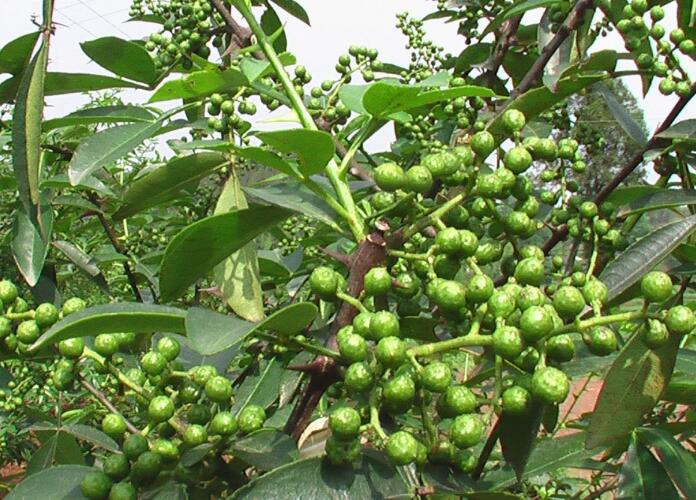 1649043844666283.jpg 1649043844666283.jpg