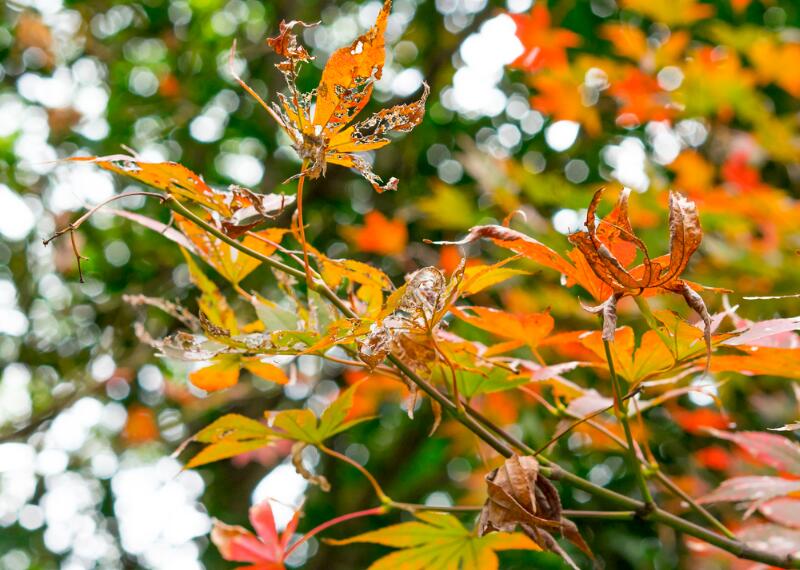 1649043934673208.jpg 1649043934673208.jpg