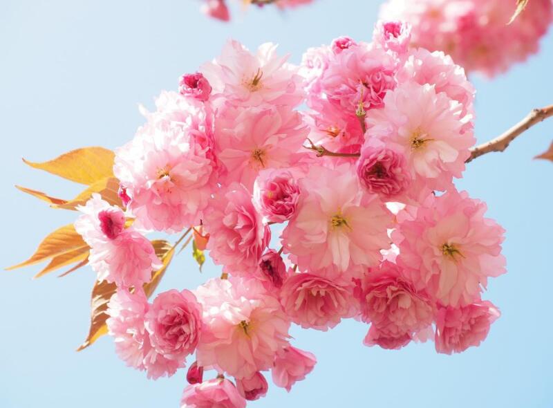 1649046061758268.jpg 1649046061758268.jpg