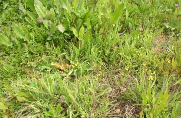 1651545704149326.jpg 1651545704149326.jpg