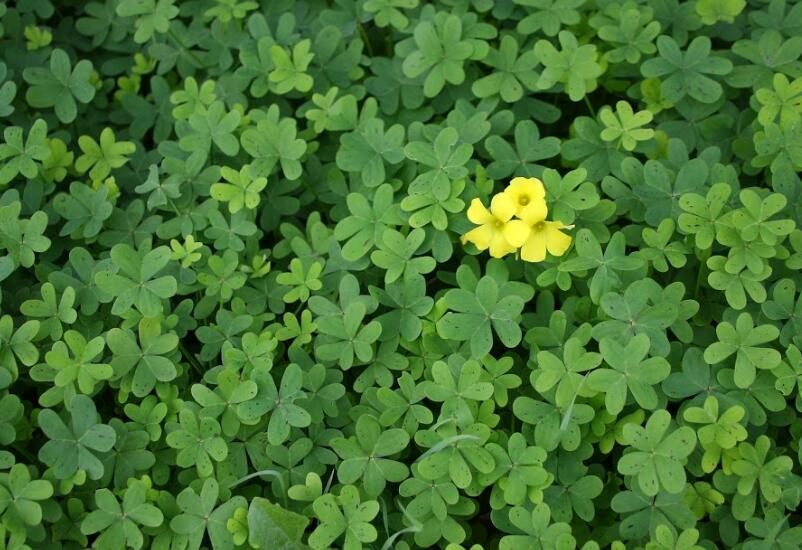 1651545848212856.jpg 1651545848212856.jpg