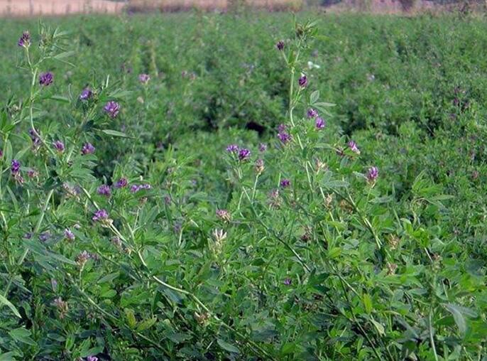 1653800151520920.jpg 1653800151520920.jpg