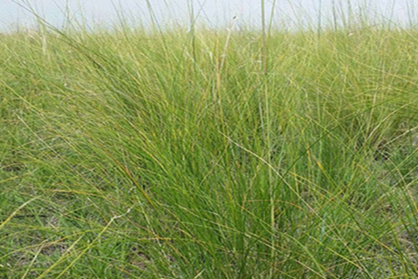 1653801165839982.jpg 1653801165839982.jpg