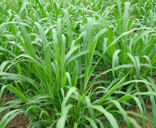 1653801376228390.jpg 1653801376228390.jpg