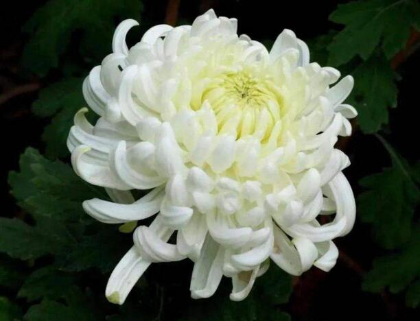 1660885409624898.jpg 1660885409624898.jpg