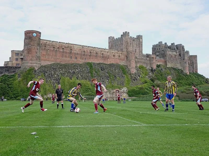 足球場(chǎng)天然草坪 足球場(chǎng)天然草坪