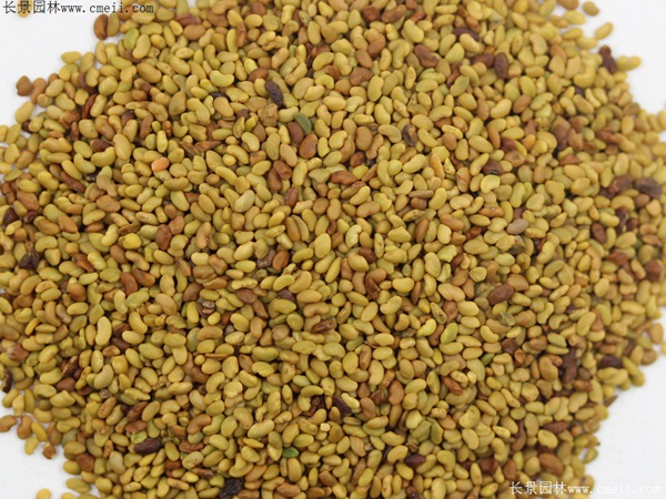 1712106402360013.jpg 1-1F501135550493.jpg