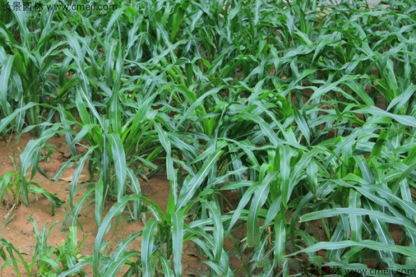 1712123027401441.jpg 1-1F501134536241.jpg