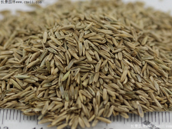 1712278150914217.jpg 1-1F430143045D0.jpg