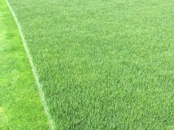 1712457242938204.jpg 1-1F224101250949.jpg